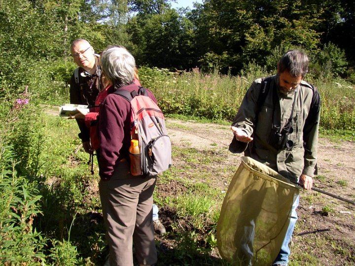 2011 07  Myco bois des Plainvaux 10